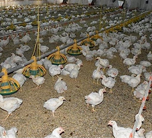 Yerden Is�tma Sistemleri